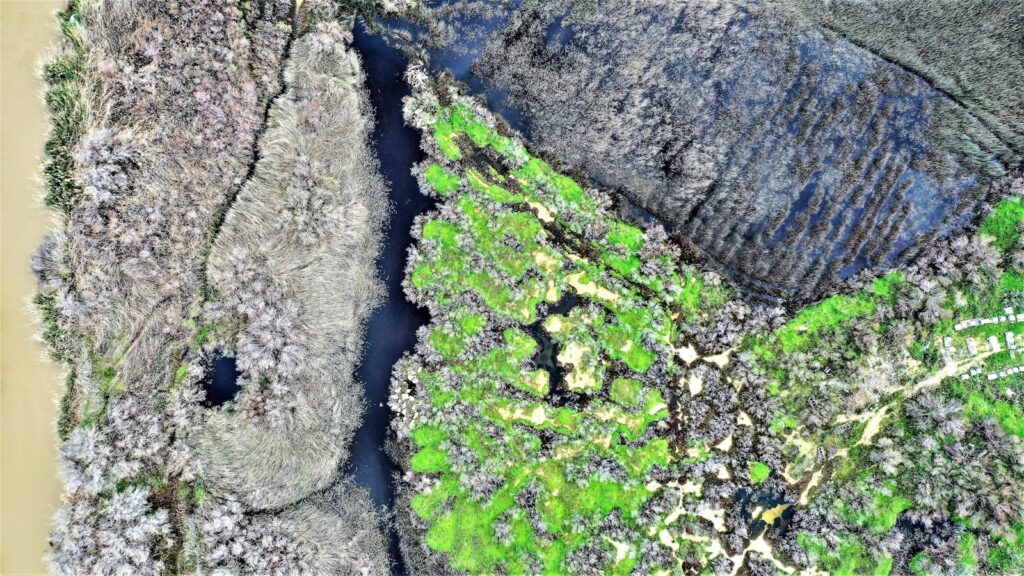 land subsidence, groundwater depletion, urban planning, climate change, water management, geological hazards, Jakarta, Mexico City, Groundwater Depletion Sinking Cities,