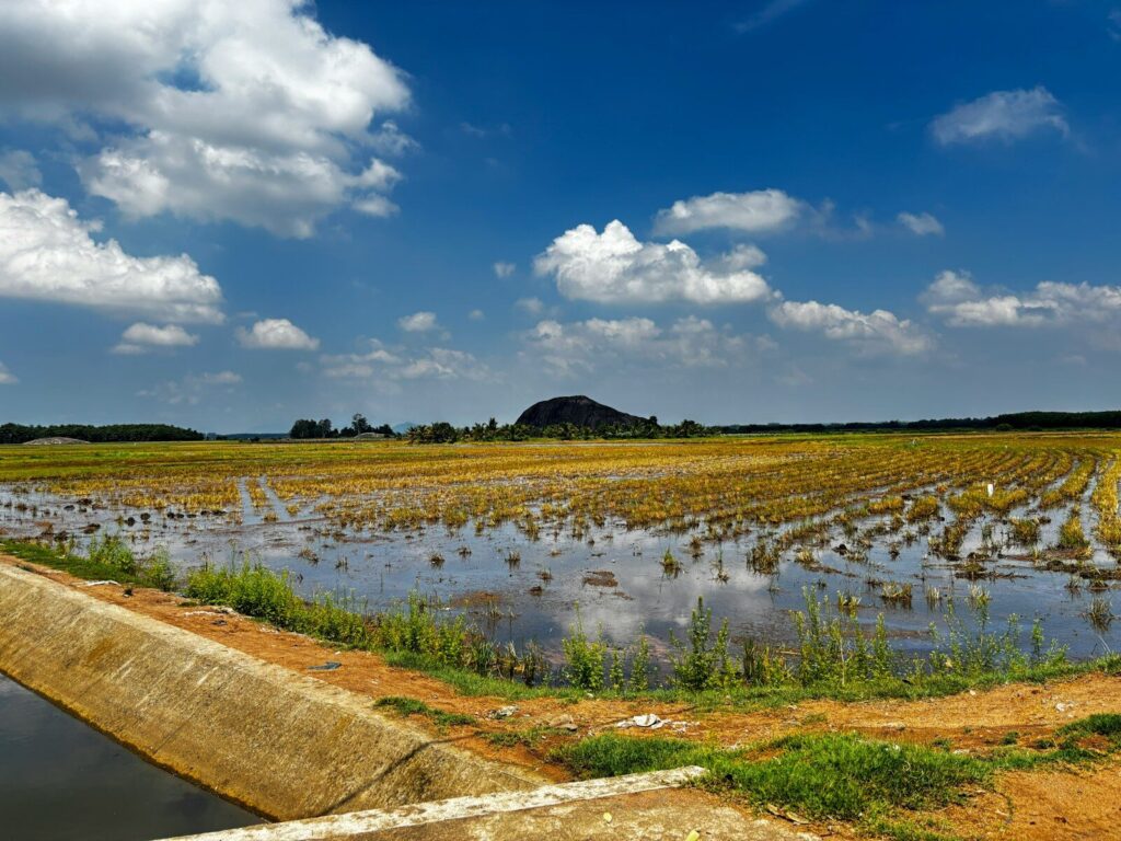 A drone shot revealing vast, flooded agricultural fields, illustrating the systemic economic damage that the 2026 Atlantic hurricane season can inflict on food supply chains, increasing the urgent need for Coastal Resilience and defense against Extreme Weather Events.