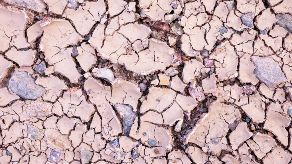 Deep cracks in parched soil demonstrate the severe agricultural realities of global weather extremes. A Record-Strength El Niño 2026 will severely test agricultural resilience in regions prone to sudden precipitation deficits.