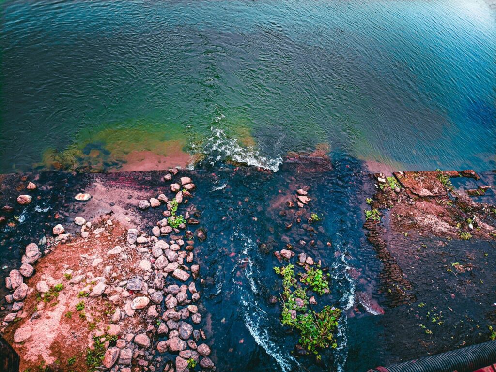 Brandy Melville, Fast Fashion, Sustainable Fashion, Textile Waste, Greenwashing, Ethical Fashion, Circular Economy, Environmental Impact, Brandy Hellville fast fashion,