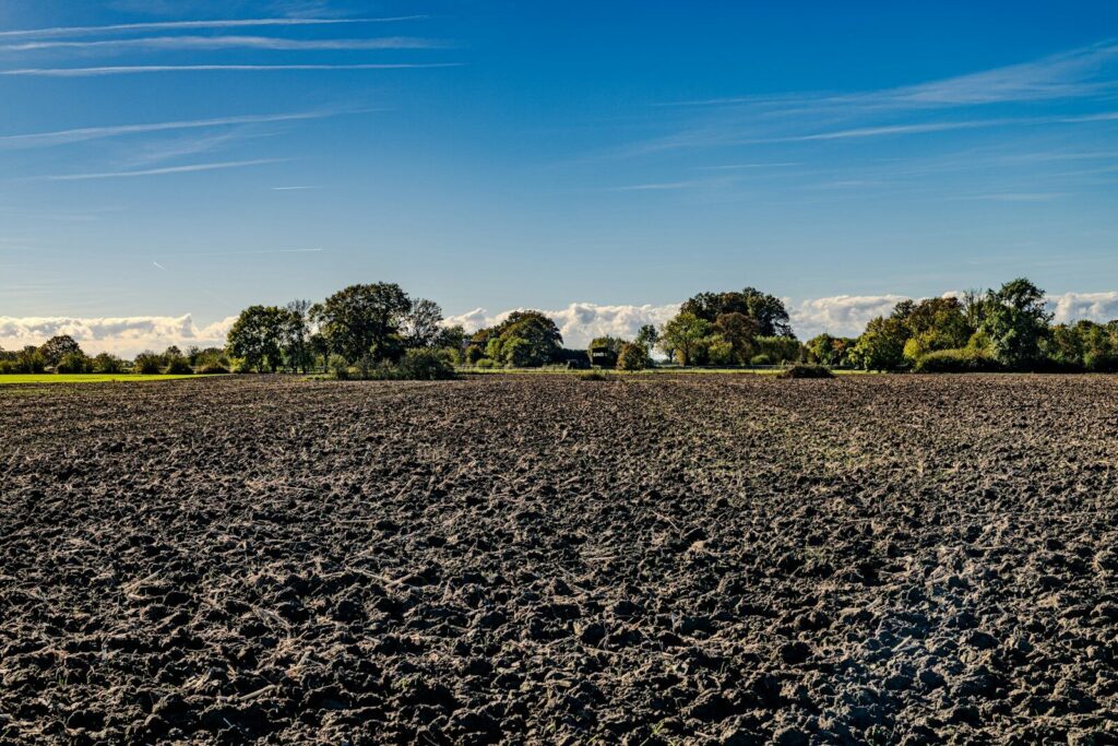 land subsidence, groundwater depletion, urban planning, climate change, water management, geological hazards, Jakarta, Mexico City, Groundwater Depletion Sinking Cities,