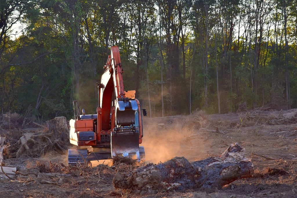 deforestation, excessive meat consumption