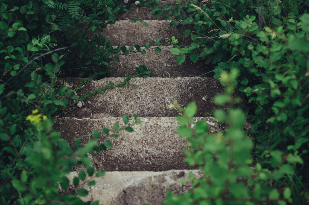 concrete, outdoors, plants-1837008.jpg