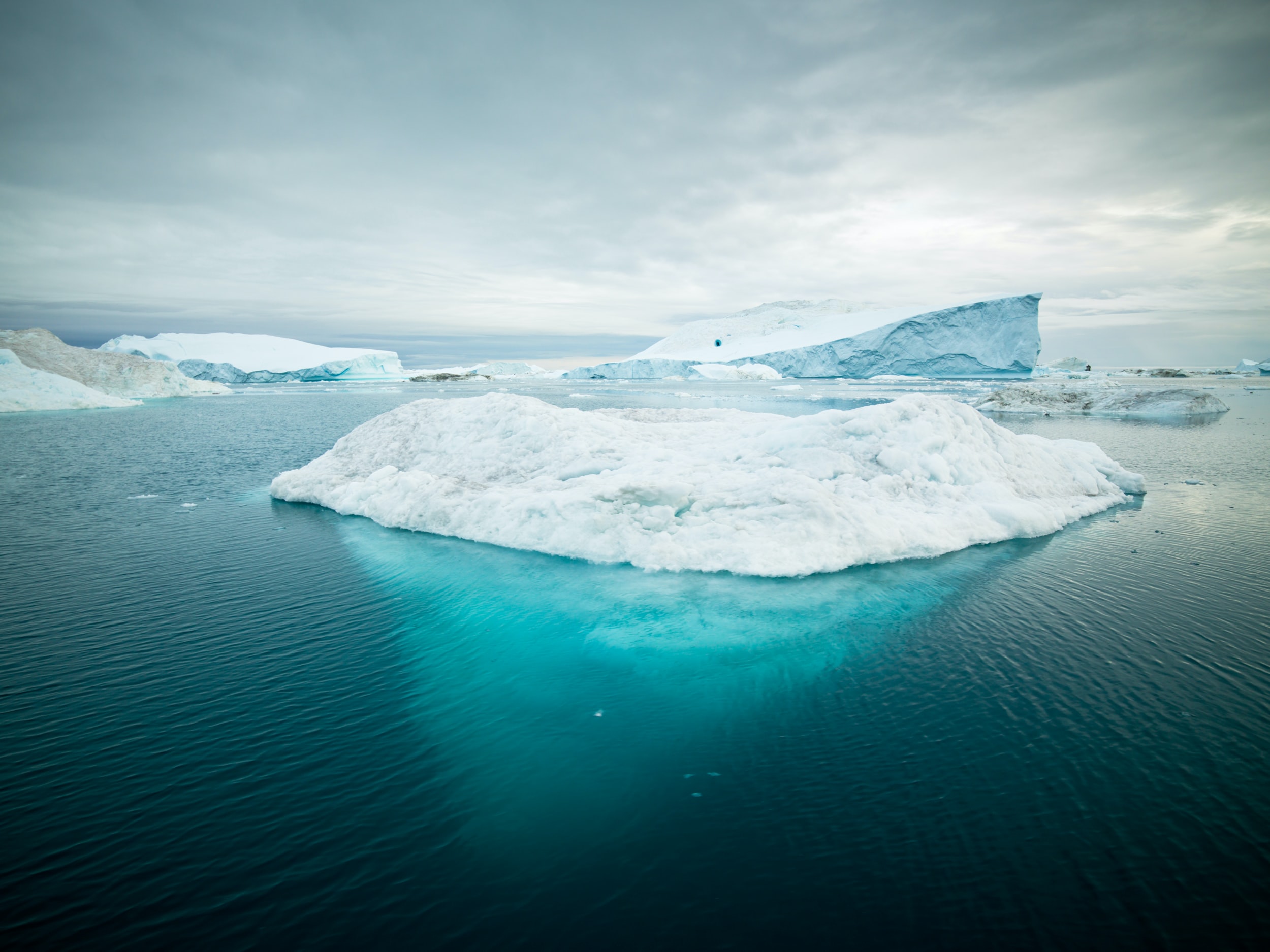 antarctic sea ice decline