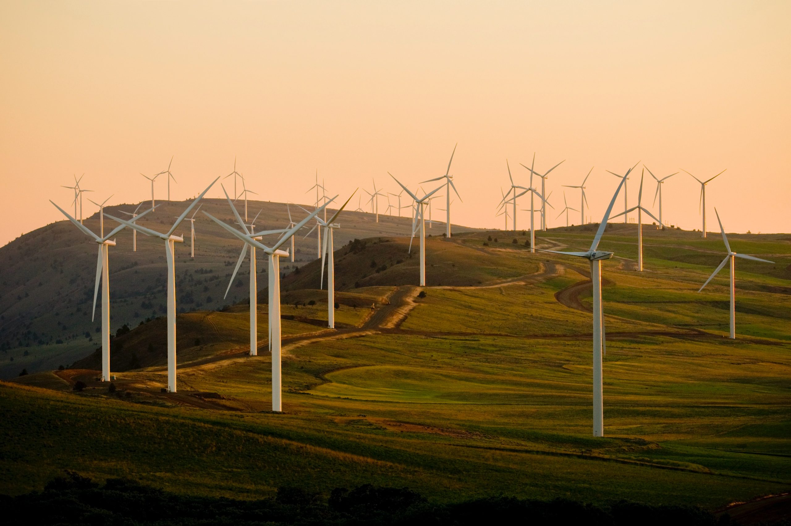 greta thunberg wind farms norway human rights