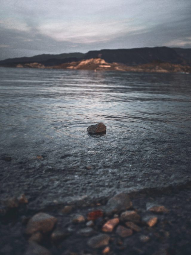 Lake mead water level