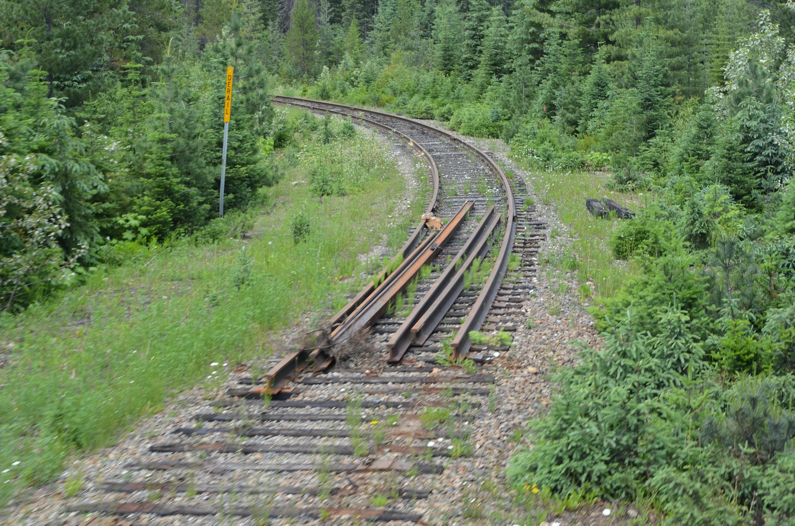 train derailments, North America, causes, consequences, preventive measures, transportation safety, mechanical failure, human error, track defects, weather conditions, hazardous materials, environmental damage, case studies, regulatory agencies, public safety