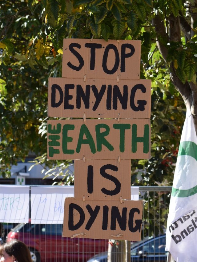 climate emergency, urgent need for action, global warming, renewable energy, sustainable agriculture, policy change, individual action, systemic change, environmental impact, youth activists, indigenous leaders,