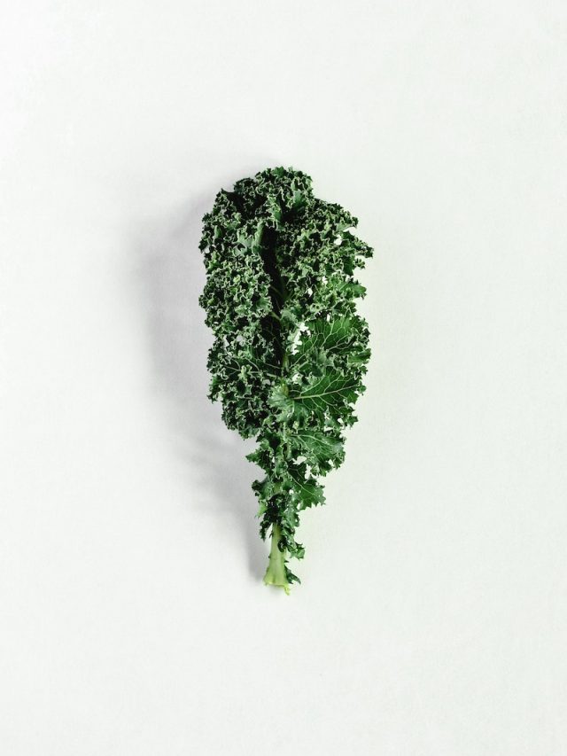 kale, PFAS, forever chemicals, US kale samples, organic kale, toxic compounds, food contamination, health risks, FDA, robust testing program, environmental pollution, water pollution, soil contamination, sludge, healthy eating, superfood, cancer, kidney disease, liver conditions, immune disorders, birth defects, protein powders, juice drinks, food products, reverse osmosis filter, drinking water, environmental protection, food safety,