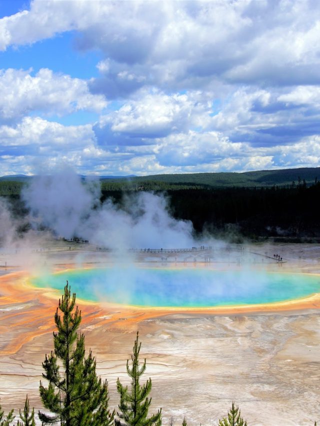 Yellowstone National Park, grizzly bears, conservation, wildlife preservation, endangered species, Yellowstone ecosystem, biodiversity, habitat protection, environmental conservation, conservation efforts, wildlife management, ecosystem restoration, national parks, conservation success stories, wildlife corridors, species recovery, Yellowstone grizzly population, conservation organizations, conservation initiatives, wildlife conservation strategies, ecosystem conservation, bear management, human-wildlife conflict, sustainable tourism, wilderness preservation, park management, ecological balance, conservation partnerships, community engagement, conservation awareness, wildlife monitoring, conservation legislation, conservation policies, protected areas, conservation funding, wildlife research, conservation education, public awareness campaigns, ecological restoration, wildlife habitat connectivity, conservation impact, conservation achievements, collaborative conservation, conservation advocacy, endangered species recovery, wildlife conservation laws, ecosystem resilience, conservation planning, wildlife conservation programs, wildlife conservation policy, conservation challenges, conservation milestones, conservation initiatives evaluation, conservation achievements evaluation,