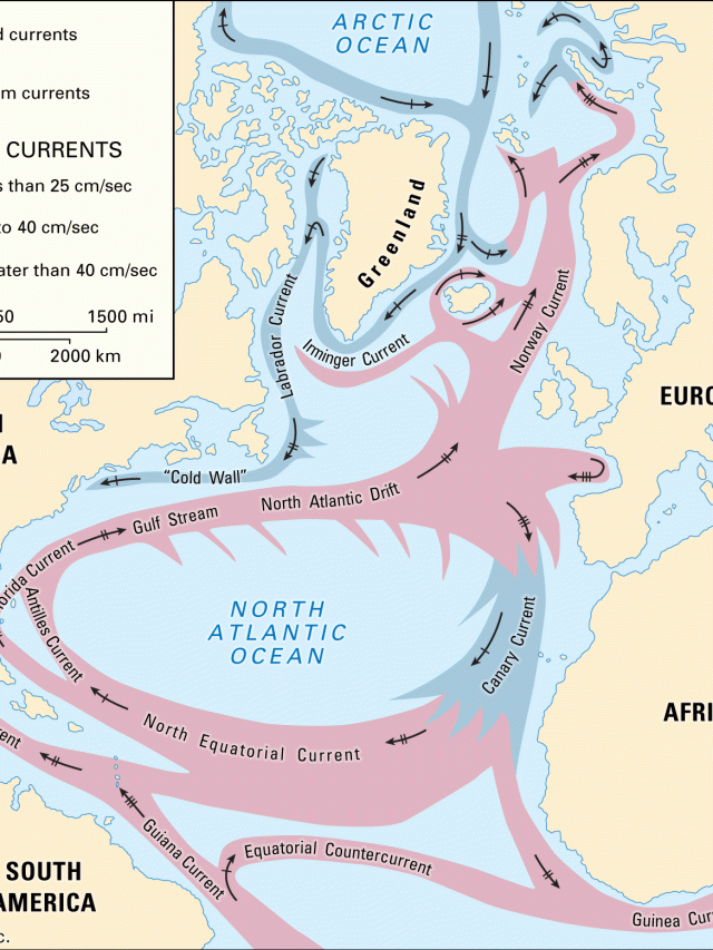 Gulf Stream weakening, ocean currents, water transport, research study, conclusive evidence, climate change, global warming, ocean circulation, Atlantic Meridional Overturning Circulation (AMOC), oceanography, climate system, weather patterns, coastal conditions, sea level rise, extreme weather events, hurricane intensity, ocean temperature, ocean salinity, thermohaline circulation, North Atlantic, climate models, climate variability, climate feedbacks, climate impacts, climate projections, climate science, ocean dynamics, oceanographic research, ocean monitoring, oceanographic data, oceanographic measurements, oceanographic observations, oceanographic sensors, climate monitoring, climate observations, climate measurements, climate trends, climate analysis, climate patterns, climate drivers, climate sensitivity, climate response, climate indicators, climate signals, climate records, climate studies, climate research, climate scientists, climate predictions, climate forecasting, climate simulations, climate simulations, climate models, climate simulations, climate scenarios,