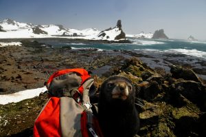 Antarctica greening, climate change Antarctica, rapid vegetation growth Antarctica, Antarctica turning green, Antarctic Peninsula vegetation, effects of climate change on Antarctica, Antarctica ecosystem changes, melting ice Antarctica, global warming in Antarctica, invasive species Antarctica, Antarctic Peninsula climate impact, moss growth in Antarctica, rising temperatures in Antarctica, Antarctica environmental changes, satellite data Antarctica, greenhouse gas emissions Antarctica, Antarctica research, future of Antarctica ecosystem, Antarctic plants growth, Antarctica and global climate, sea level rise Antarctica, environmental impact Antarctica, albedo effect Antarctica, reducing carbon emissions Antarctica, protecting Antarctica ecosystem, climate feedback loops, climate change and polar regions, polar warming, protecting Antarctica from invasive species, Antarctica climate monitoring, Antarctica, climate change Antarctica, Antarctica turning green, Antarctic Peninsula vegetation, facts about Antarctica, Antarctica climate change, animals in Antarctica, melting ice Antarctica, global warming Antarctica, environmental impact Antarctica, Antarctic ecosystem changes, Antarctica desert, Antarctic bases, Antarctica documentary, Antarctica population, what animals live in Antarctica, best time to visit Antarctica, sea level rise Antarctica, protecting Antarctica ecosystem, polar regions climate change, Antarctic plants growth, satellite data Antarctica, reducing carbon emissions Antarctica, invasive species Antarctica, Antarctica and Arctic, albedo effect Antarctica, future of Antarctica ecosystem,