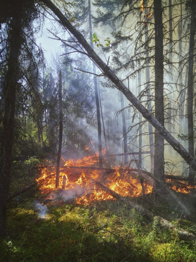 wildfire burn scars, wildfire recovery, flood risk, mudslide danger, Southern California wildfires, burn scar risks, disaster preparedness, wildfire aftermath, eco-friendly recovery, community resilience, wildfire safety, burn scar flooding, wildfire prevention, natural disaster risks, California wildfires, wildfire impact, sustainable rebuilding, wildfire preparedness, burn scar management, wildfire education, wildfire awareness, wildfire response, wildfire relief, wildfire damage, wildfire recovery tips, burn scar restoration, wildfire prevention tips, wildfire safety tips, wildfire risk management, wildfire community support, wildfire recovery efforts, wildfire resilience, wildfire preparedness tips, burn scar hazards, wildfire flood risk, wildfire mudslide risk, Southern California disaster, wildfire recovery guide, burn scar prevention, wildfire risk reduction, wildfire recovery resources, burn scar restoration tips, wildfire safety guide, wildfire recovery support, burn scar management tips, wildfire risk awareness, wildfire recovery planning, burn scar recovery, wildfire risk reduction tips, wildfire recovery strategies, burn scar safety, wildfire recovery resources, burn scar prevention tips, wildfire risk management tips, wildfire recovery planning tips, burn scar restoration guide, wildfire safety resources, wildfire recovery support tips, burn scar management guide, wildfire risk awareness tips, wildfire recovery planning guide, burn scar recovery tips, wildfire risk reduction guide, wildfire recovery strategies guide, burn scar safety tips, wildfire recovery resources guide, burn scar prevention guide, wildfire risk management guide, wildfire recovery planning resources, burn scar restoration resources, wildfire safety guide resources, wildfire recovery support resources, burn scar management resources, wildfire risk awareness resources, wildfire recovery planning resources guide, burn scar recovery resources, wildfire risk reduction resources, wildfire recovery strategies resources, burn scar safety resources, wildfire recovery resources guide resources, burn scar prevention resources, wildfire risk management resources, wildfire recovery planning resources guide resources, burn scar restoration resources guide, wildfire safety guide resources guide, wildfire recovery support resources guide, burn scar management resources guide, wildfire risk awareness resources guide, wildfire recovery planning resources guide resources guide, burn scar recovery resources guide, wildfire risk reduction resources guide, wildfire recovery strategies resources guide, burn scar safety resources guide, wildfire recovery resources guide resources guide, burn scar prevention resources guide, wildfire risk management resources guide, wildfire recovery planning resources guide resources guide resources, burn scar restoration resources guide resources,