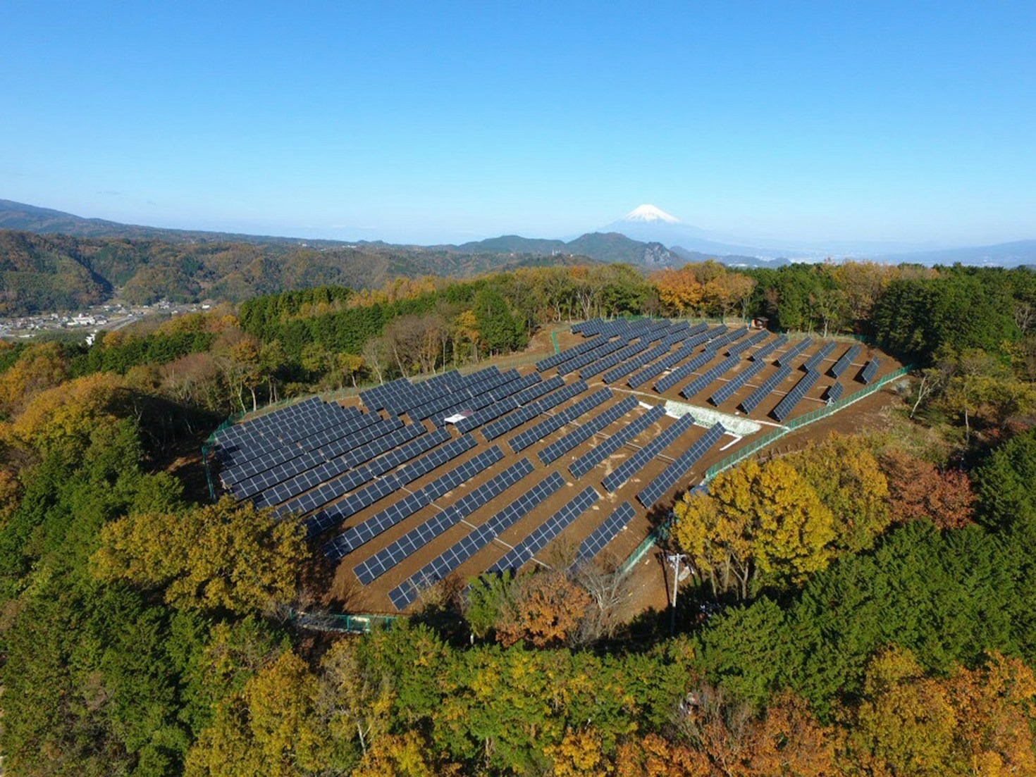 The Impact of Sustainable Choices on Global Ecosystems