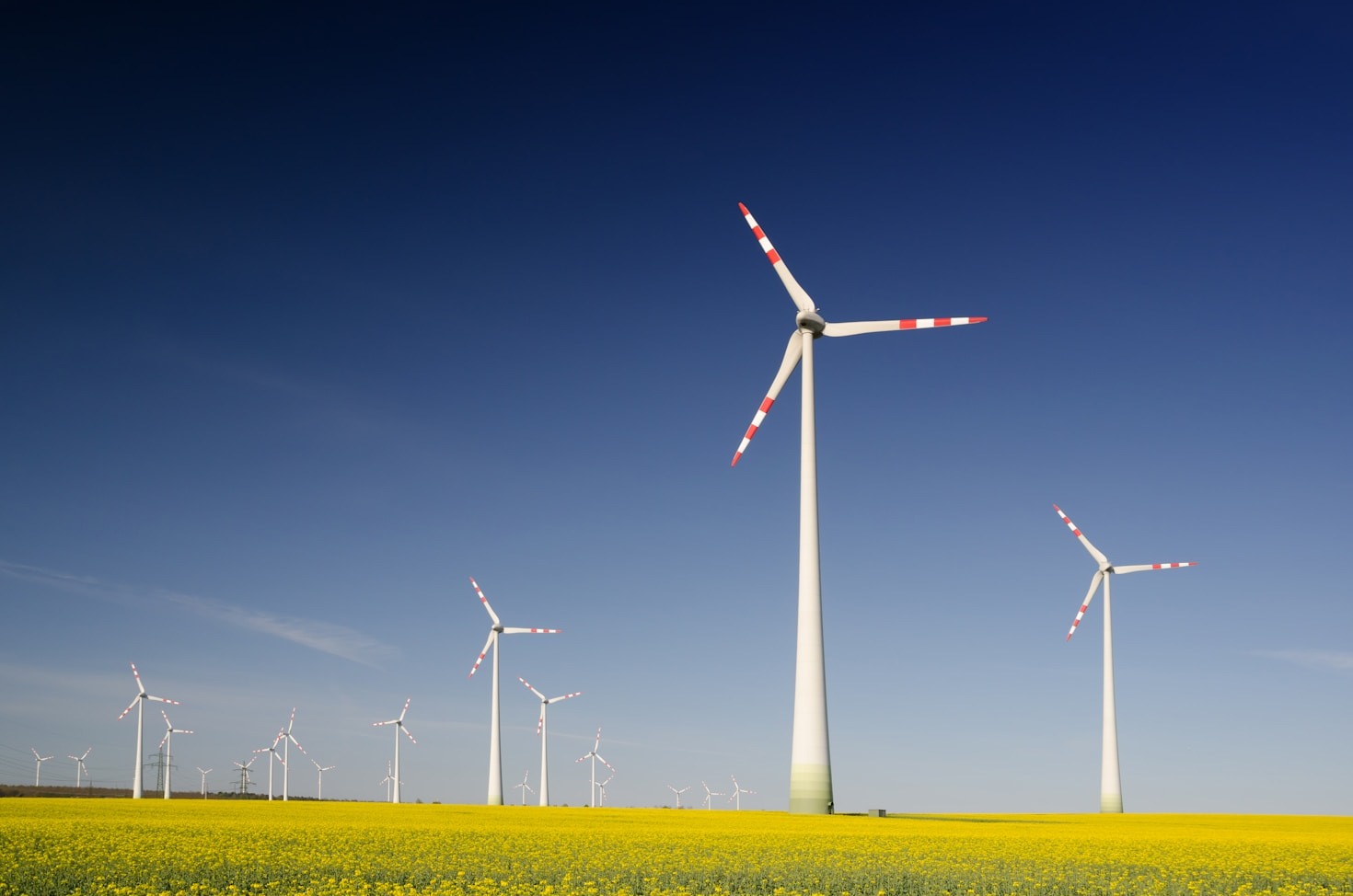Why Sustainability Matters Now More Than Ever