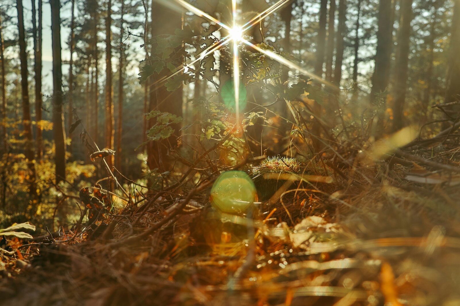 Indigenous climate knowledge informing sustainable land management practices