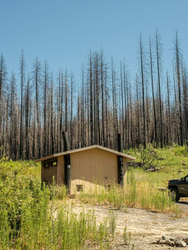 Community rebuilding homes after a wildfire using sustainable and fire-resilient design