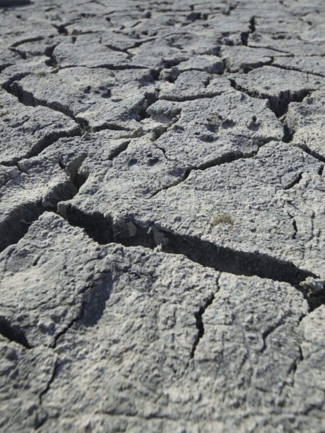 U.S. drought conditions showing dry land and water shortages caused by record-low snowpack and prolonged dry weather