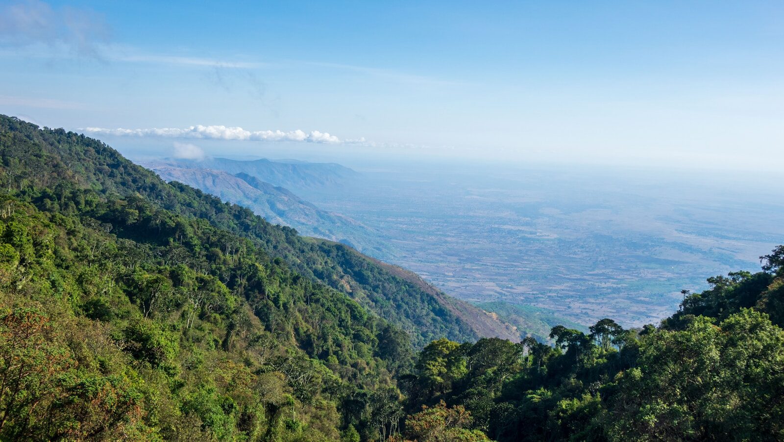 “Satellite view of the East African Rift showing tectonic plates separating as Africa splits to form a sixth ocean”
