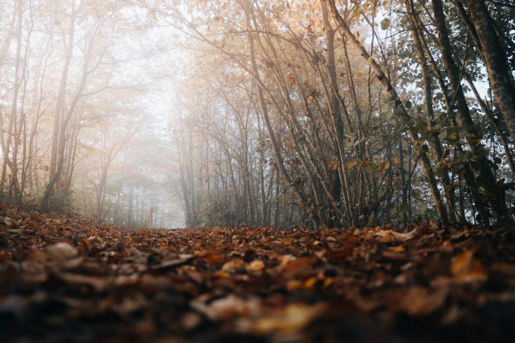 California atmospheric rivers impacting reservoirs and wildfire burn scar landscapes