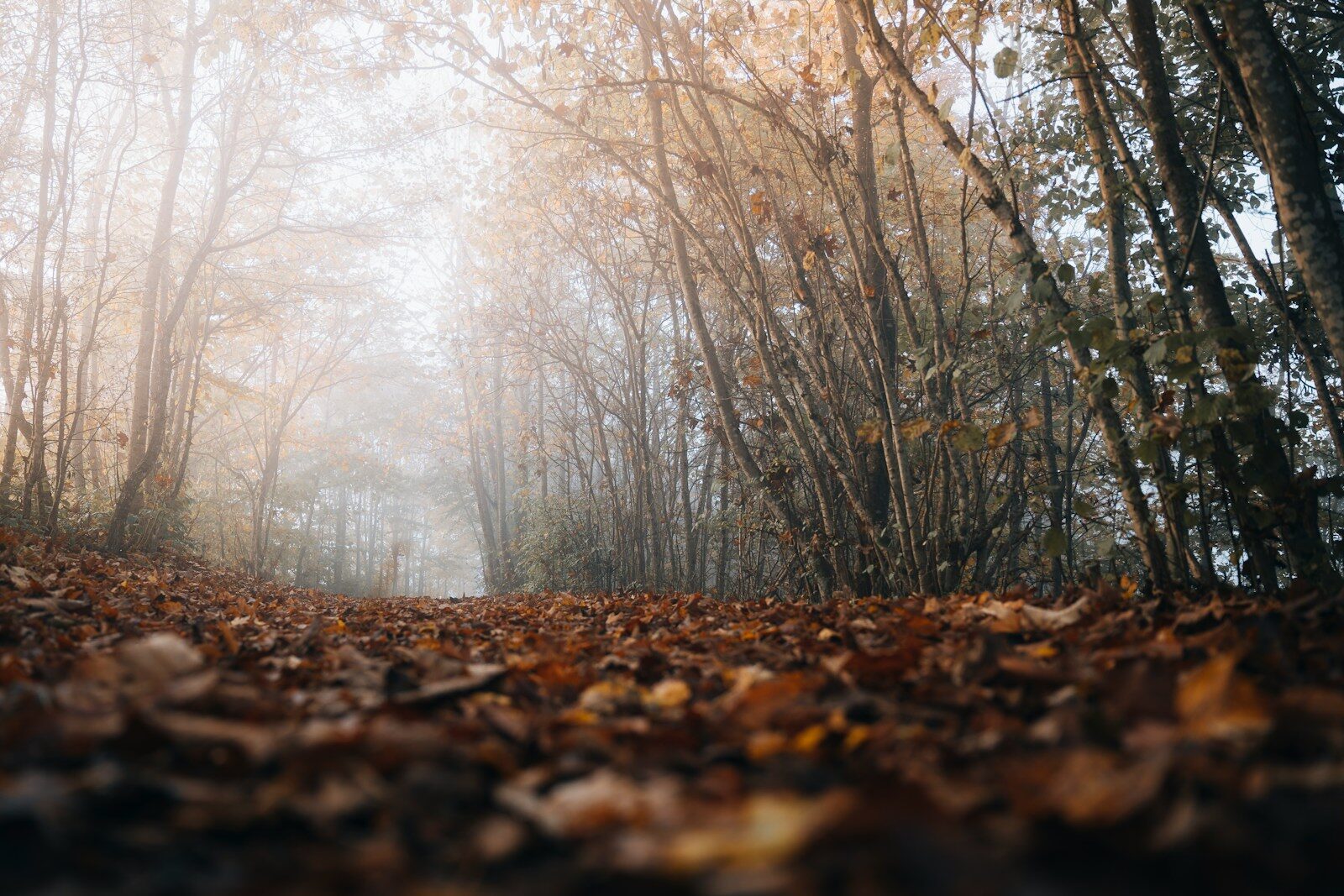 California atmospheric rivers impacting reservoirs and wildfire burn scar landscapes