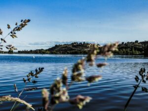Klamath River, Klamath dam removal, Klamath River restoration, Klamath River dams, largest dam removal project, US dam removal, river restoration, river ecosystem recovery, freshwater biodiversity, biodiversity restoration, ecosystem restoration, habitat restoration, salmon recovery, Pacific salmon, Chinook salmon, coho salmon, steelhead trout, fish migration, fish habitat restoration, river connectivity, watershed restoration, aquatic ecosystems, freshwater ecosystems, environmental restoration, Indigenous environmental stewardship, tribal water rights, Yurok Tribe, Karuk Tribe, Klamath Tribes, Indigenous knowledge, environmental justice, water infrastructure, aging dams, hydroelectric dams, dam removal benefits, sediment flow restoration, river sediment transport, toxic algae blooms, water quality improvement, climate resilience ecosystems, climate adaptation ecosystems, river conservation, environmental policy USA, water policy USA, environmental sustainability, ecosystem resilience, natural river systems, free flowing rivers, salmon habitat, Pacific Northwest rivers, California river ecosystems, Oregon river ecosystems, North American river restoration, sustainable water management, ecological recovery projects, environmental science rivers, climate and biodiversity,