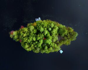 industrial emissions, carbon accounting, climate strategy, ESG, decarbonization, manufacturing sustainability,