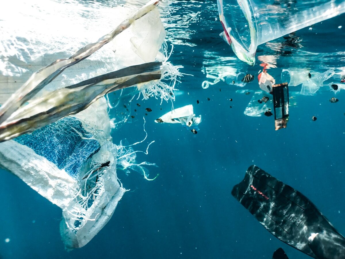 7 Startling Realities of Freshwater Microplastic Pollution in 2026