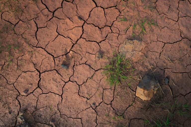 Agrifood Thermal Stress, Food System Transformation, Climate-Smart Agriculture, FAO WMO 2026 Report, Extreme Heat Resilience, Flash Droughts, Agricultural Labor Productivity, Livestock Heat Stress, Global Food Security 2026,