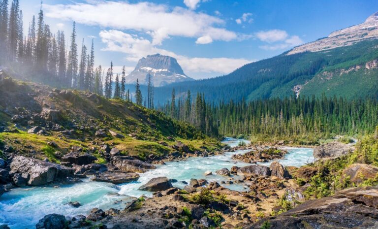 National Park Hunting Deregulation, Wildlife Conservation, Biodiversity Loss, US Climate Policy, Ecological Economics,