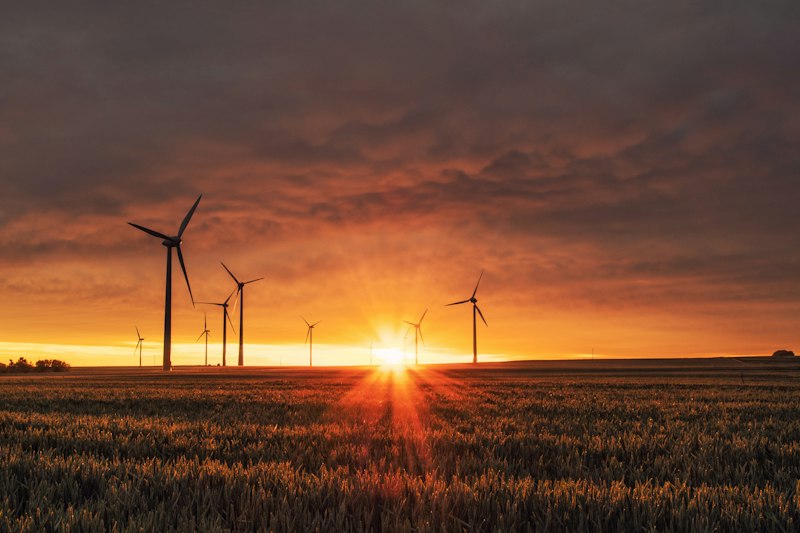 Community sustainability micro-actions environmental transformation local action