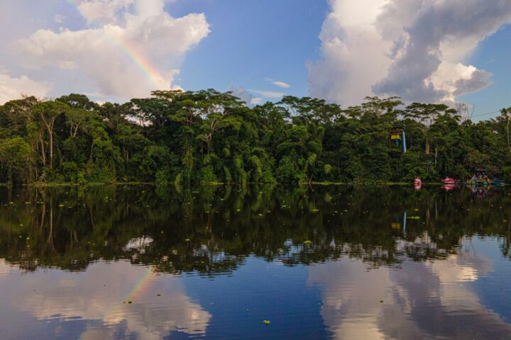 Dense tropical rainforest canopy reflected in a still river, the kind of standing forest the EUDR aims to protect